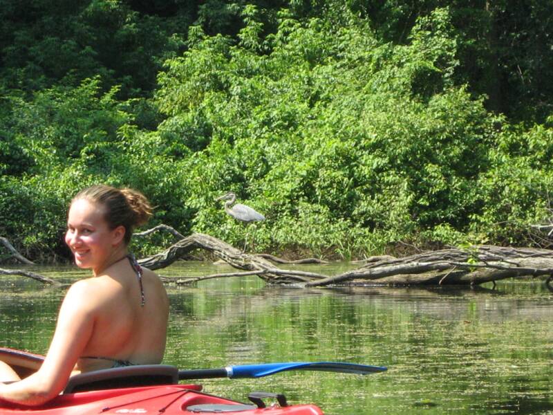 Kayaking the CT River